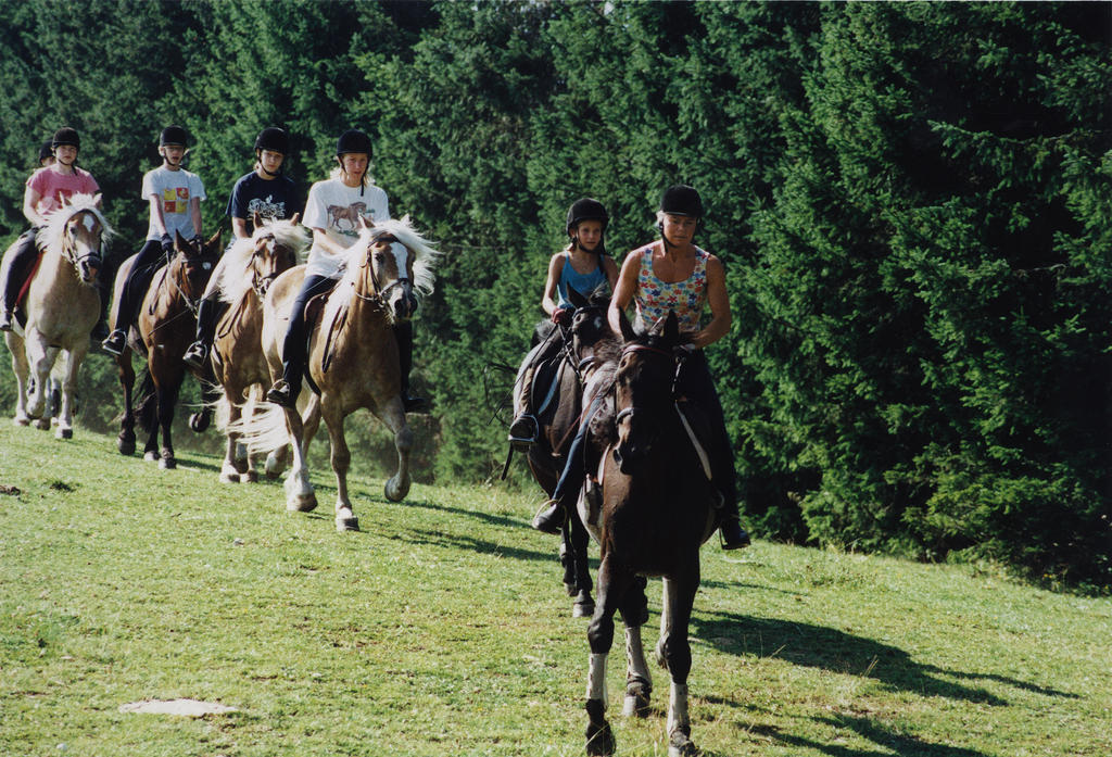 Sportgasthof Lipp Lederwinkel ภายนอก รูปภาพ